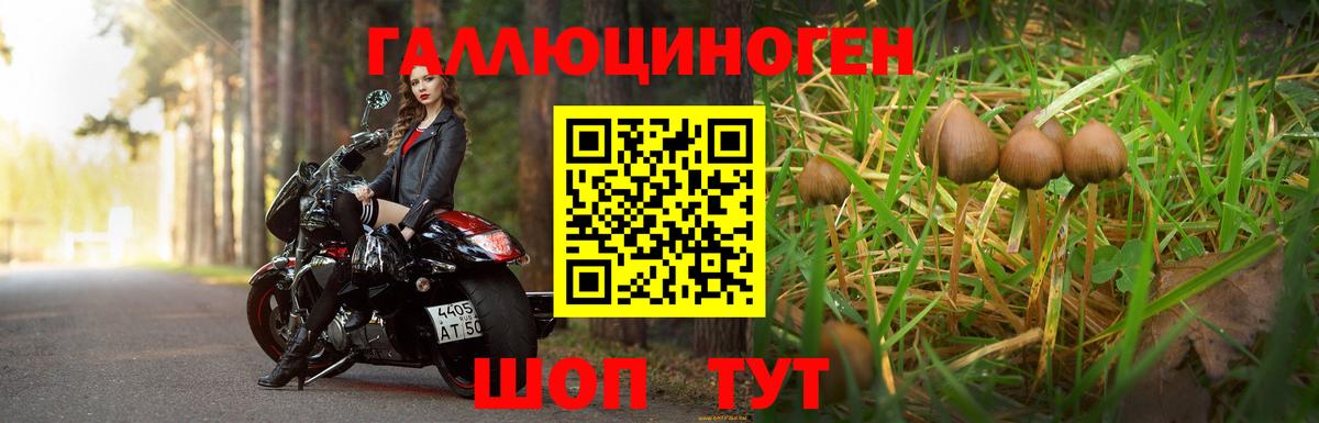 Псилоцибиновые грибы мицелий  Вход с VPN  Чайковский 